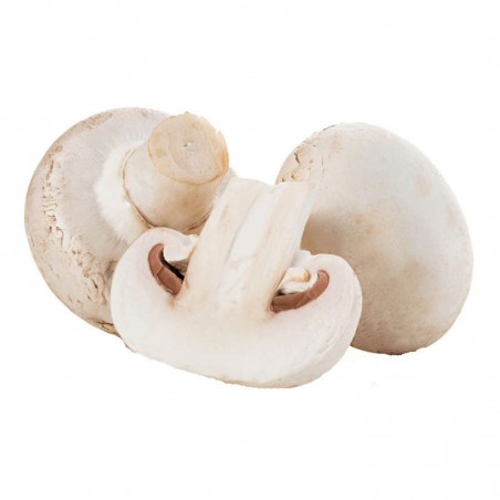 CASINO BIO Champignons blancs Bio - PAYS BAS Cat2 200g